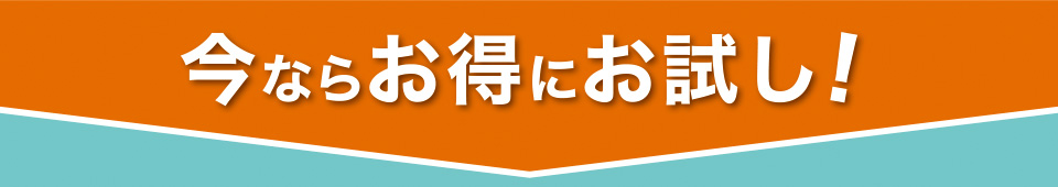 今ならお得にお試し！