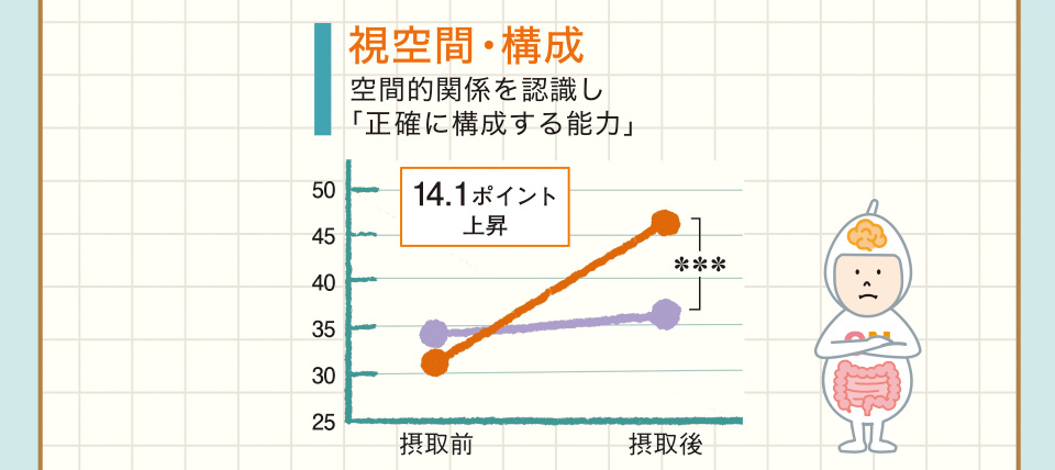 視空間・構成　空間的関係を認識し「正確に構成する能力」　14.1ポイント上昇