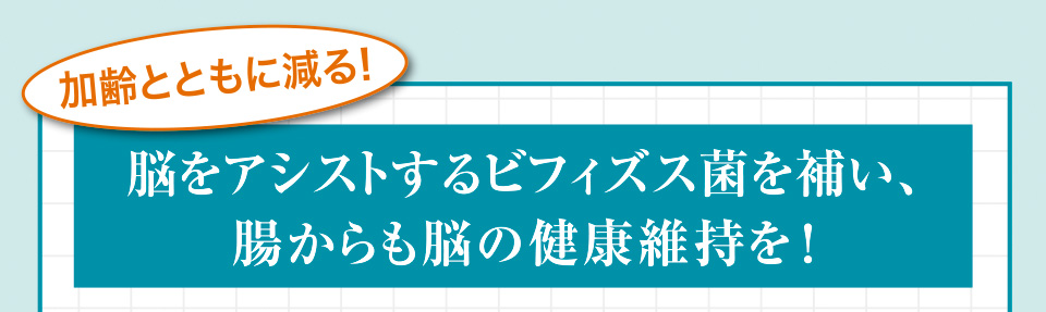 加齢とともに減る! 脳をアシストするビフィズス菌を補い、腸からも脳の健康維持を!