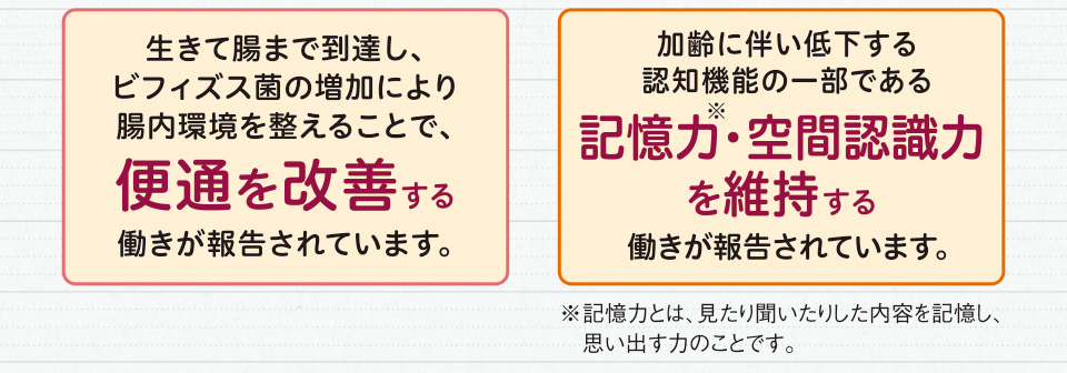 生きて腸まで到達し、ビフィズス菌の増加により腸内環境を整えることで、便通を改善する働きが報告されています。 加齢に伴い低下する認知機能の一部である記憶力※・空間認識力を維持する働きが報告されています。※記憶力とは、見たり聞いたりした内容を記憶し、思い出す力のことです。