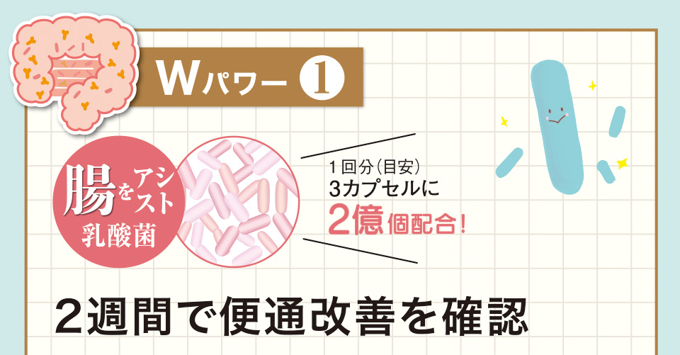 Wパワー1　腸をアシスト乳酸菌　1回分（目安）3カプセルに2億個配合！　2週間で便通改善を確認