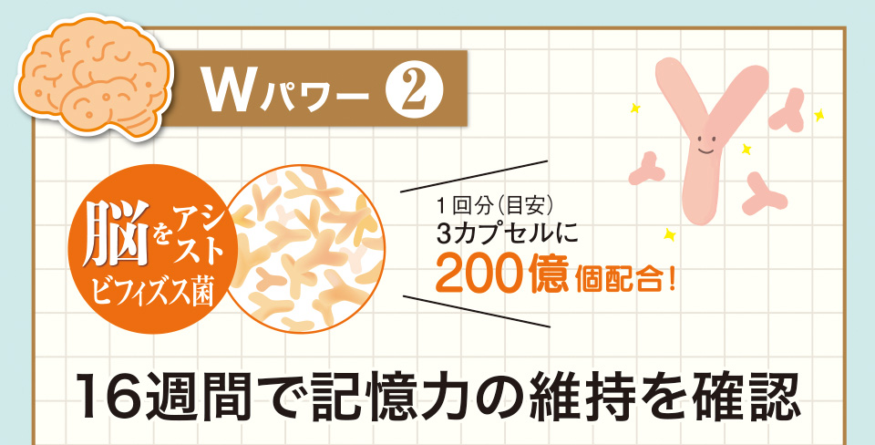 Wパワー2 脳をアシストビフィズス菌 1回分（目安）3カプセルに200億個配合！ 16週間で記憶力の維持を確認