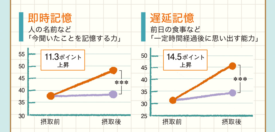 即時記憶 人の名前など「今聞いたことを記憶する力」 遅延記憶 前日の食事など「一定時間経過後に思い出す能力」