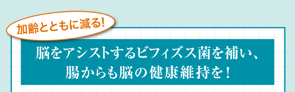 加齢とともに減る! 脳をアシストするビフィズス菌を補い、腸からも脳の健康維持を!