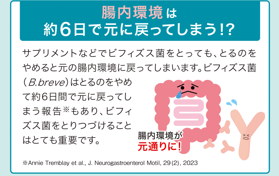 腸内環境は約6日で元に戻ってしまう！？ サプリメントなどでビフィズス菌をとっても、とるのをやめると元の腸内環境に戻ってしまいます。ビフィズス菌（B.breve）はとるのをやめて約6日間で元に戻ってしまう報告※もあり、ビフィズス菌をとりつづけることはとても重要です。腸内環境が元通りに！ ※Annie Tremblay et al., J. Neurogastroenterol Motil, 29(2), 2023