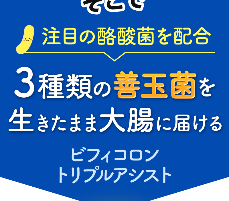 ビフィコロントリプルアシスト【日清ファルマ】