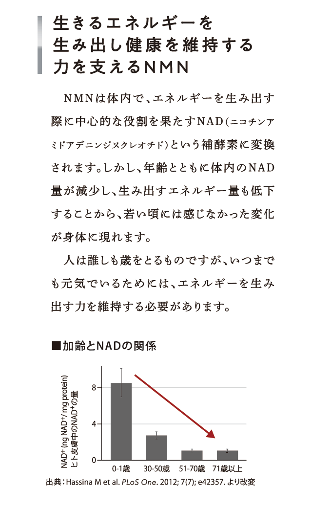 パワーサプライNMN【日清ファルマ】